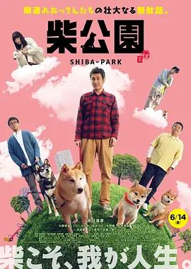 久久精品视频99